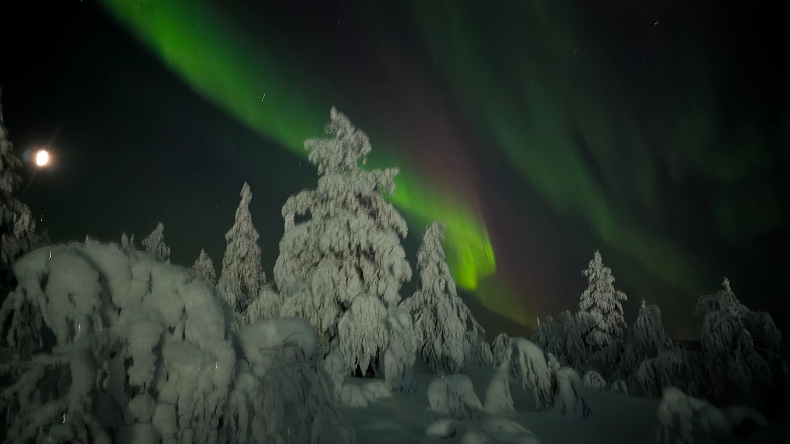 Viaggi autentici in Lapponia con guida italiana residente a Levi