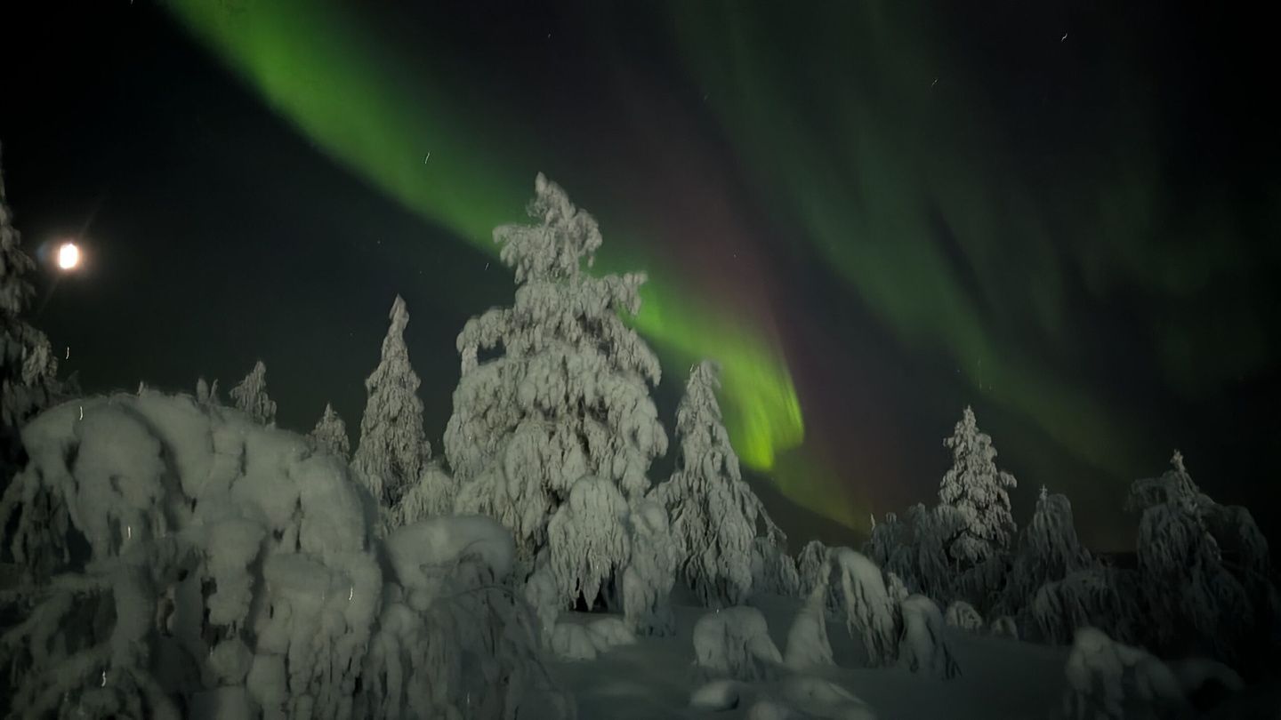 Viaggi autentici in Lapponia con guida italiana residente a Levi