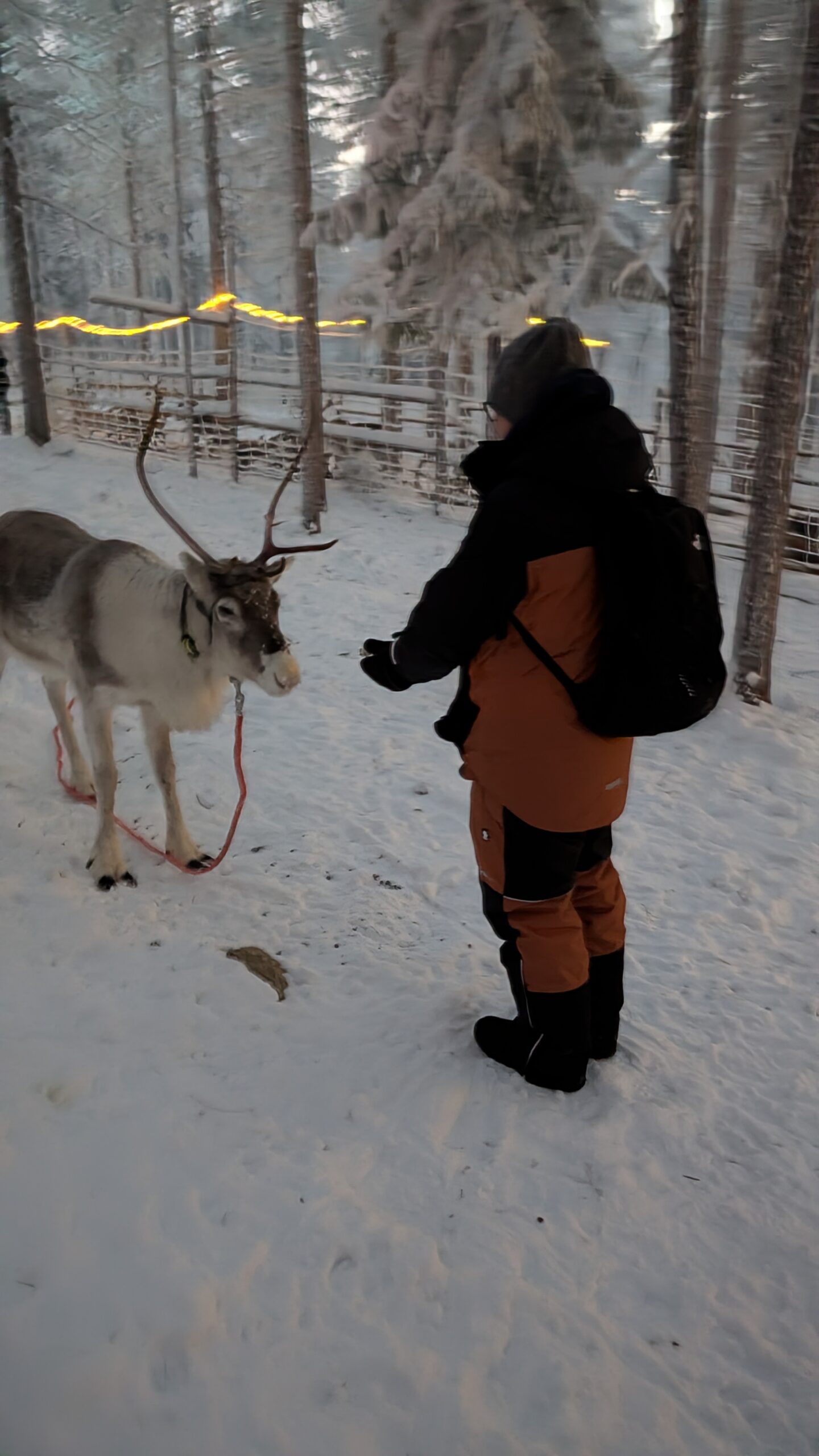 PXL_20251125_132341892