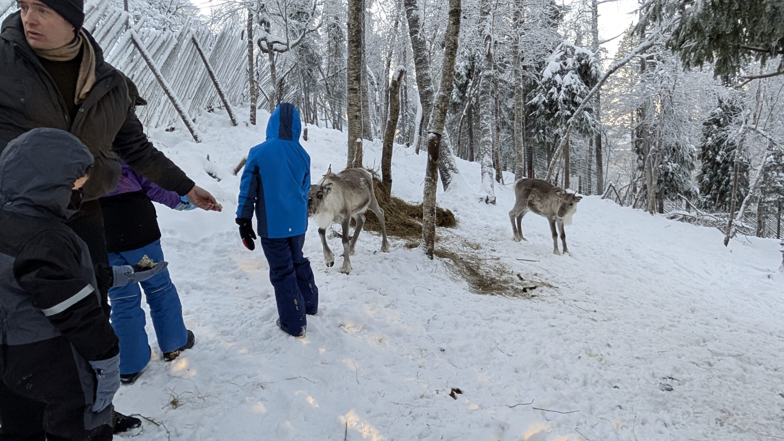 PXL_20251204_111537577