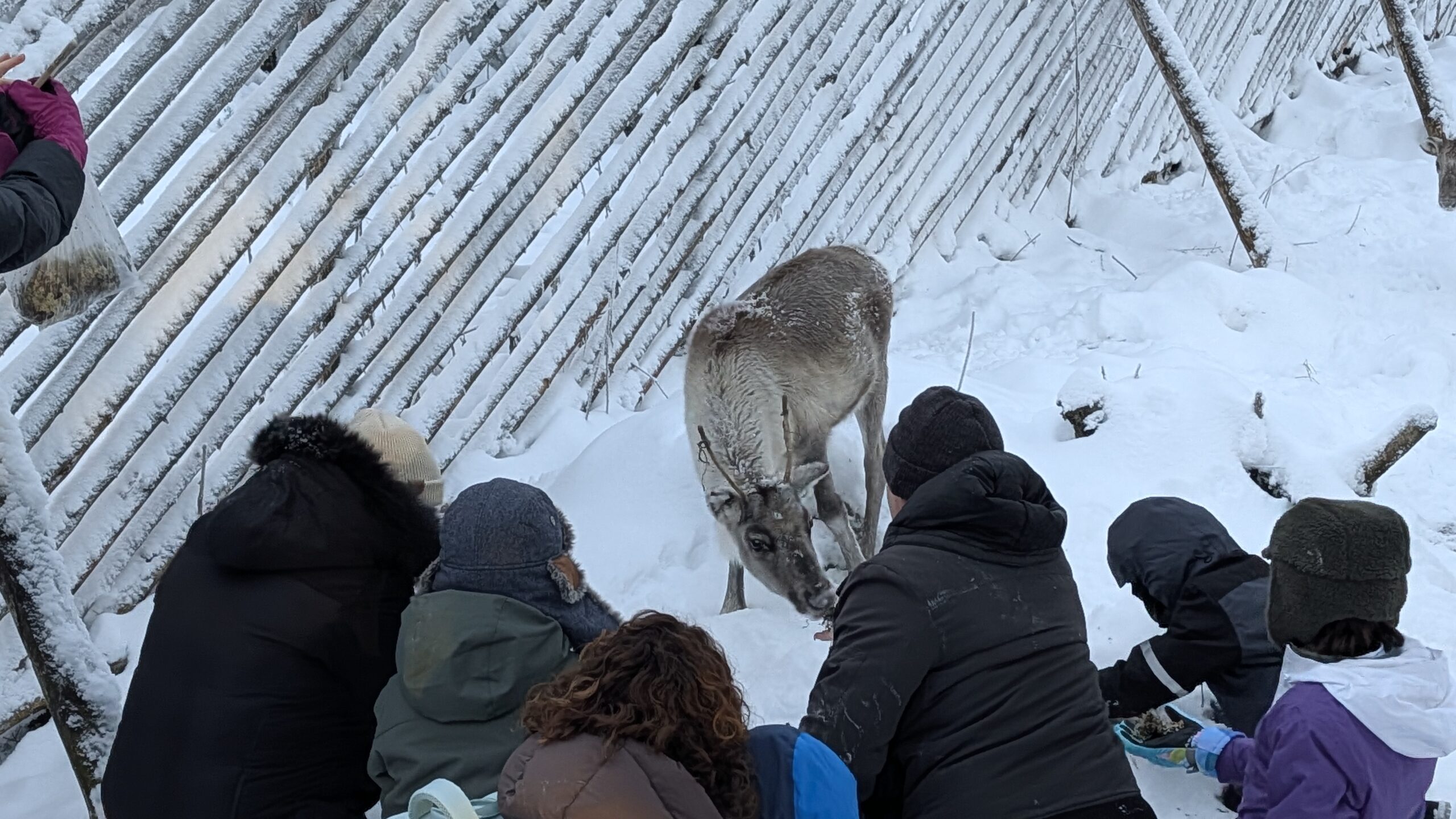 PXL_20251204_111848539