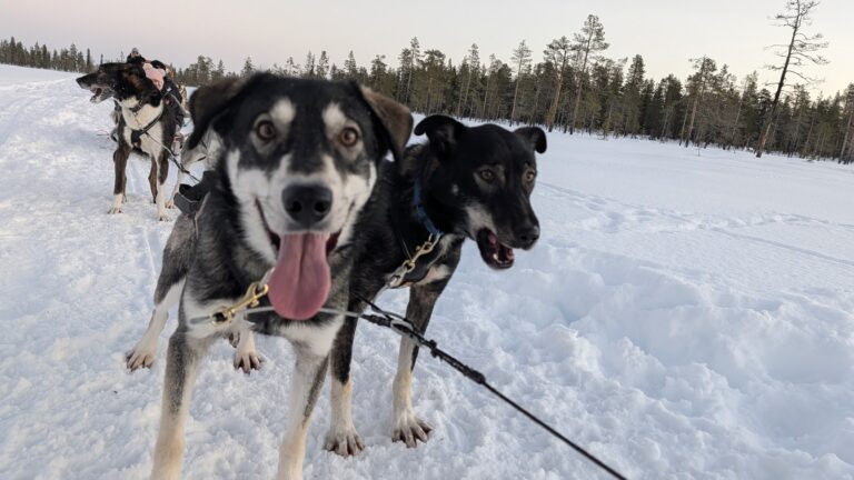 PXL_20251225_100303652