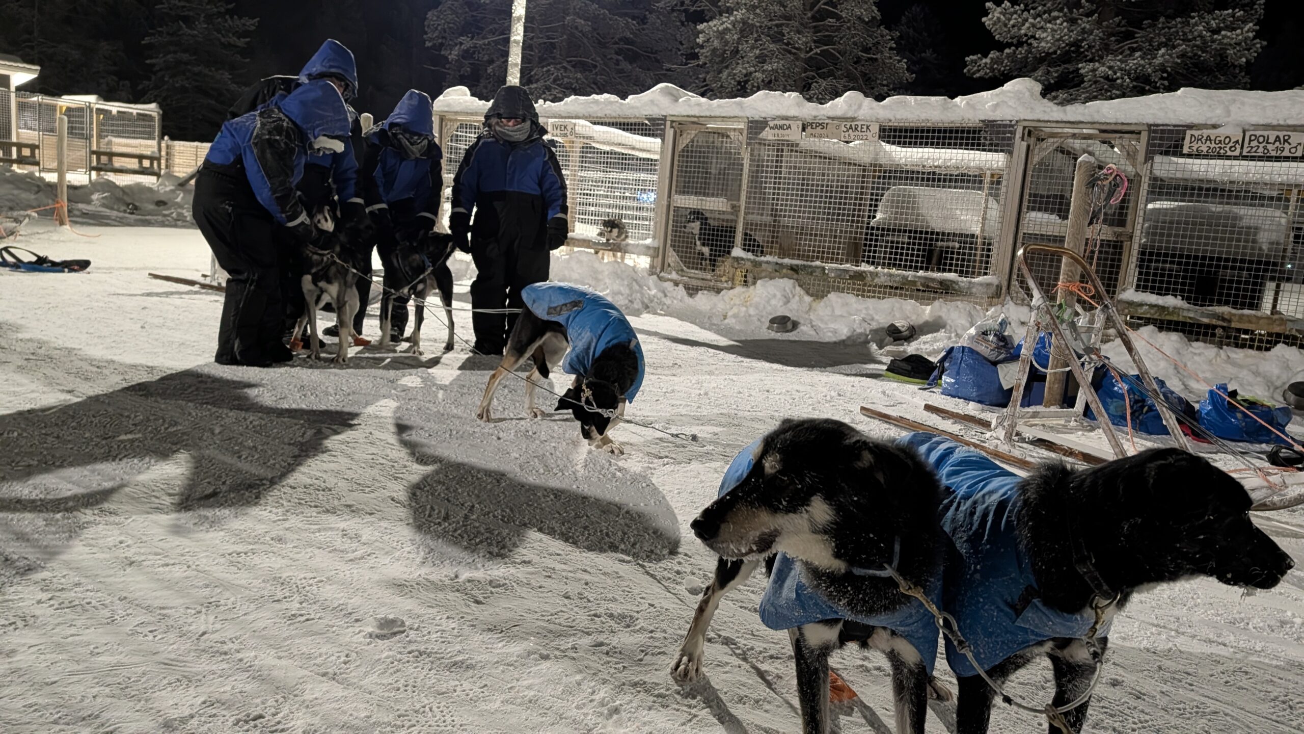 PXL_20260106_154124315