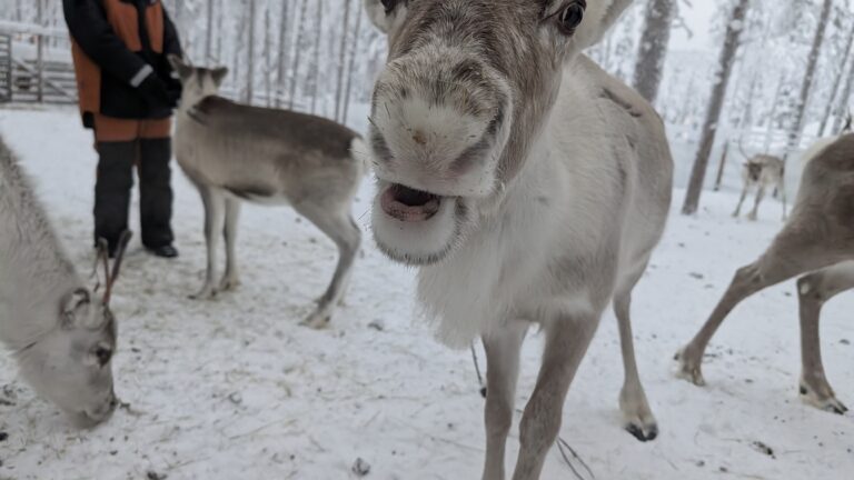 PXL_20260122_102526864