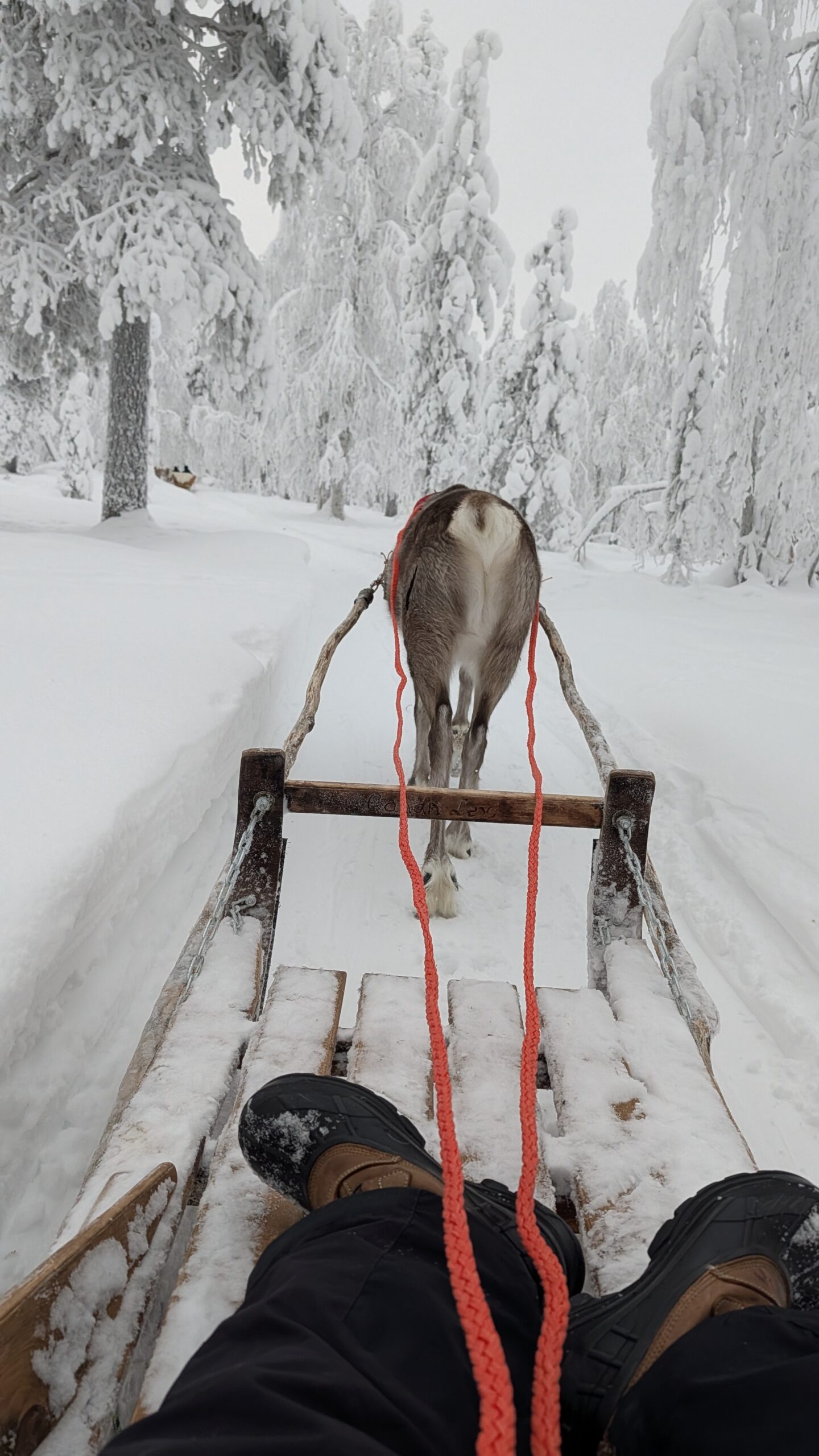 PXL_20260122_110911750