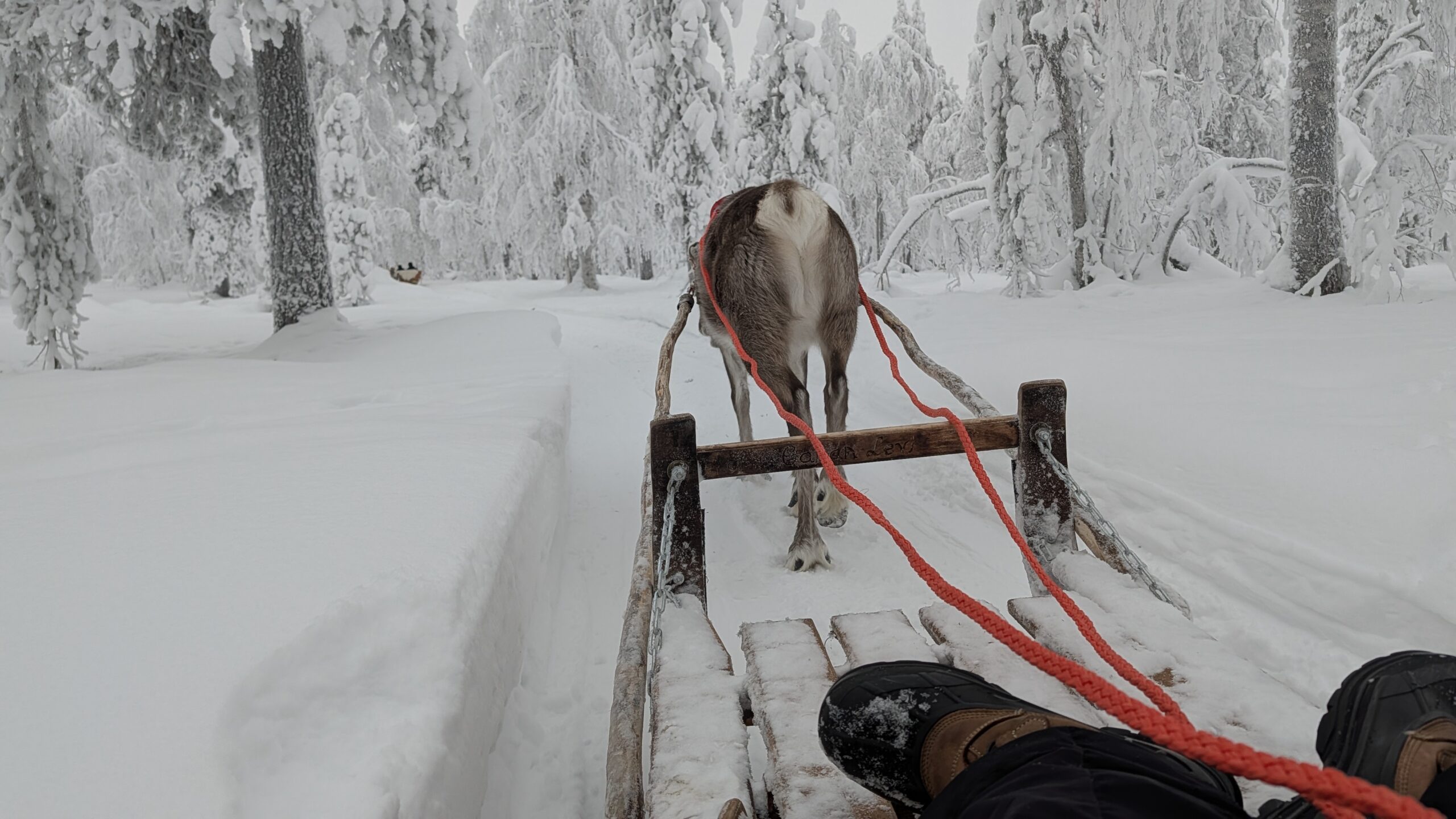 PXL_20260122_110914133