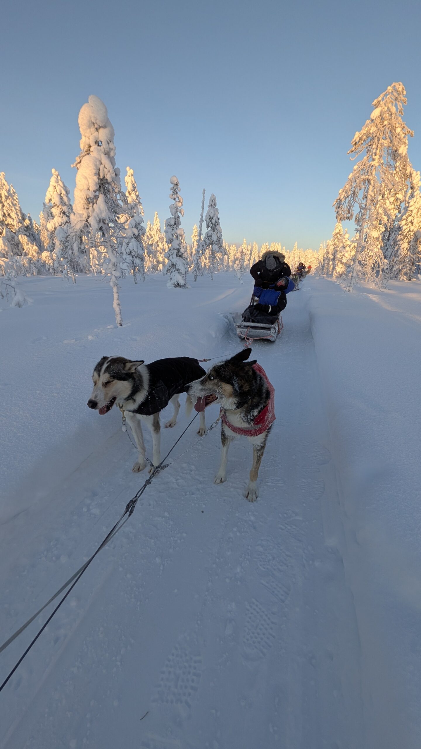 PXL_20260131_085223092