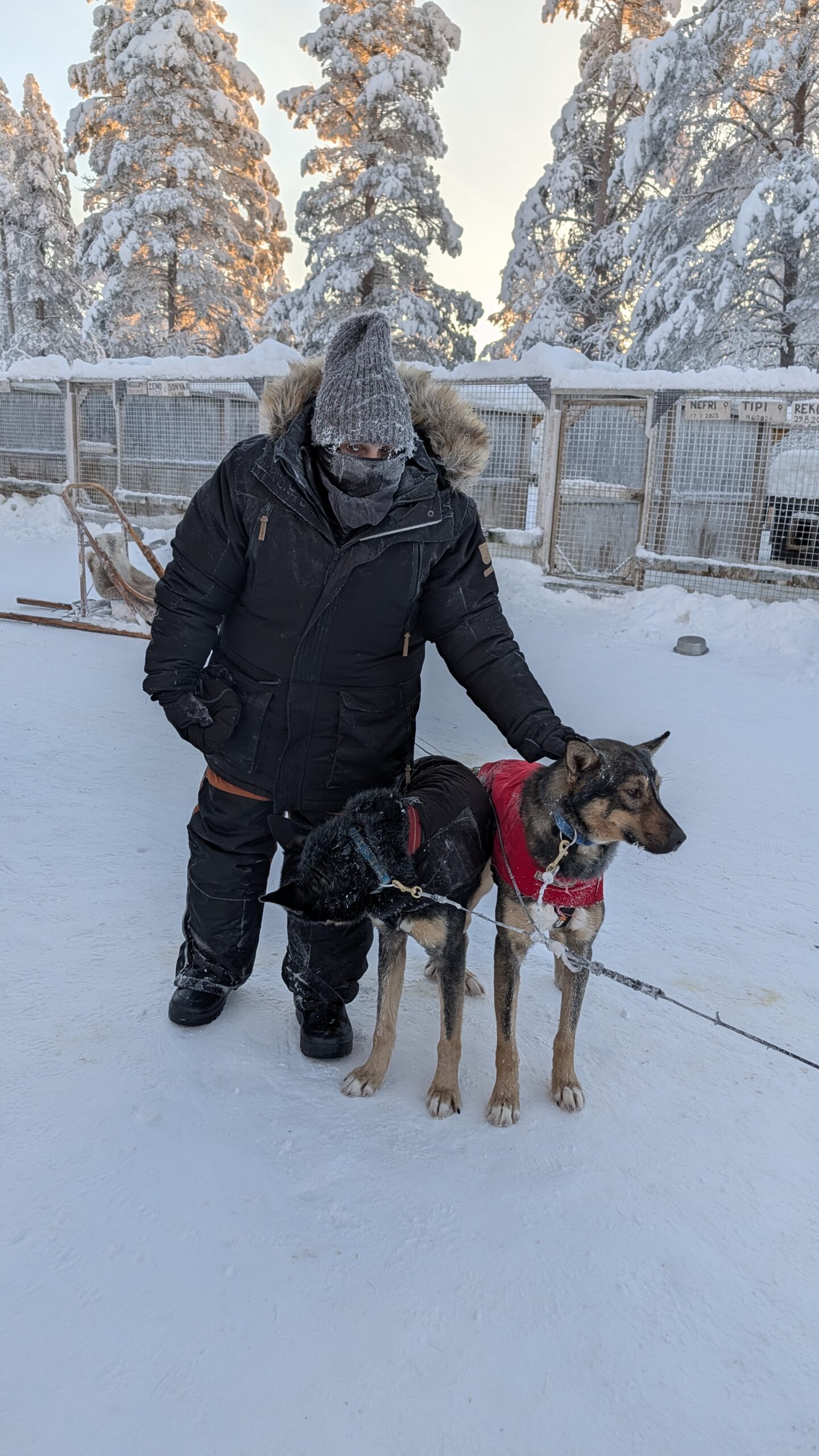 PXL_20260131_090821599