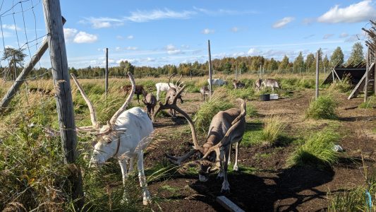 PXL_20240823_093435323