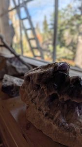 PXL_20251001_102333097.PORTRAIT