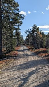 PXL_20251001_104421477