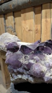 PXL_20251001_113910888.PORTRAIT