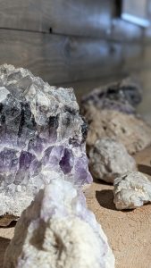 PXL_20251001_121622021.PORTRAIT