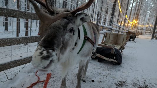 PXL_20251125_130625745