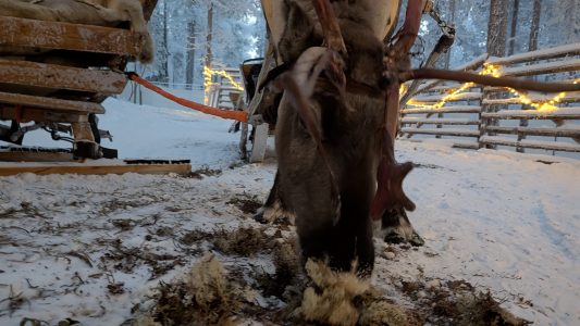 PXL_20251125_131824295