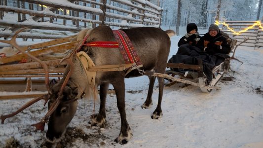 PXL_20251125_131839934