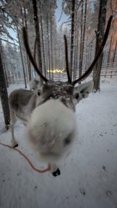 PXL_20251125_132601623