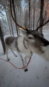 PXL_20251125_132602605