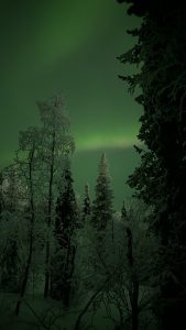 PXL_20251125_174324337.NIGHT