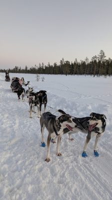 PXL_20251225_100312292