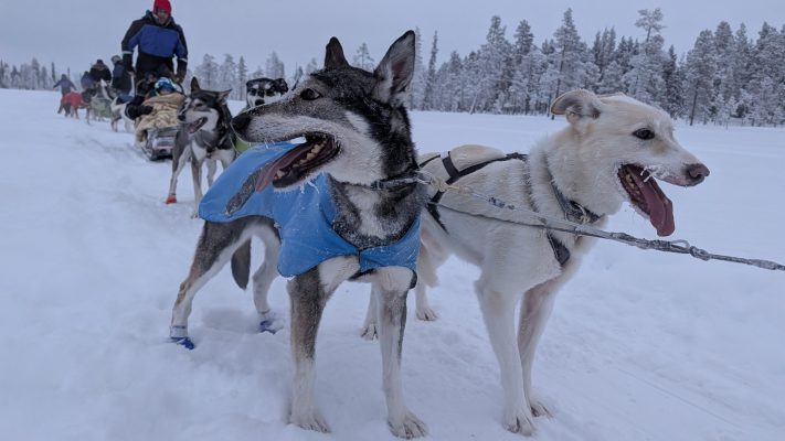 PXL_20260103_091229195