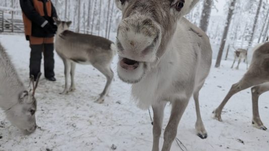 PXL_20260122_102526864