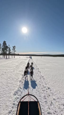 vlcsnap-2025-12-03-12h00m52s596